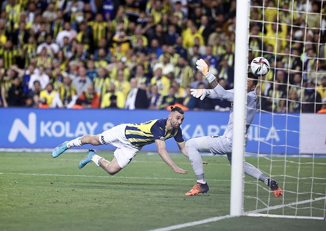 的大规模投 的大规模投