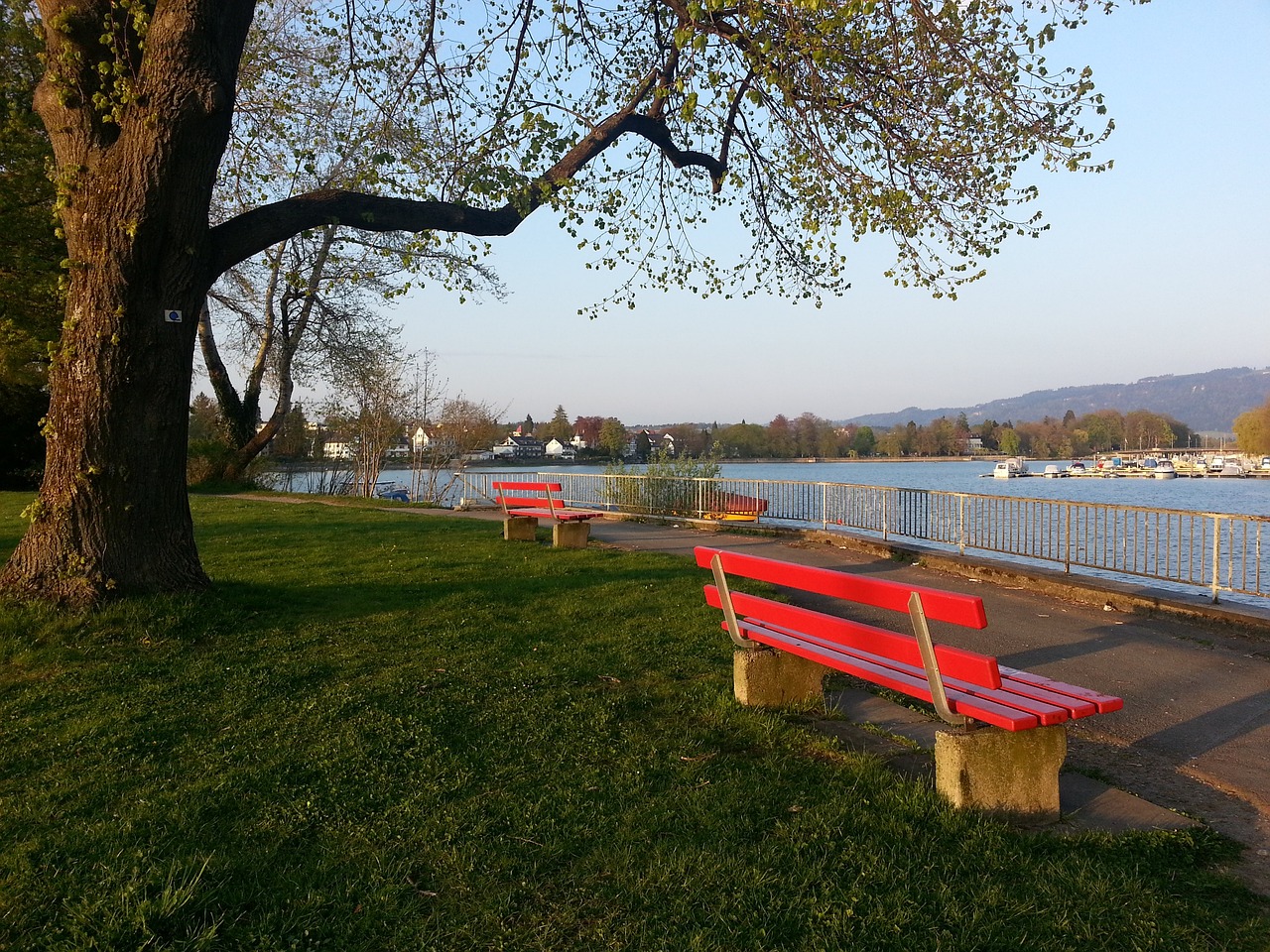 一系列创新 一系列创新