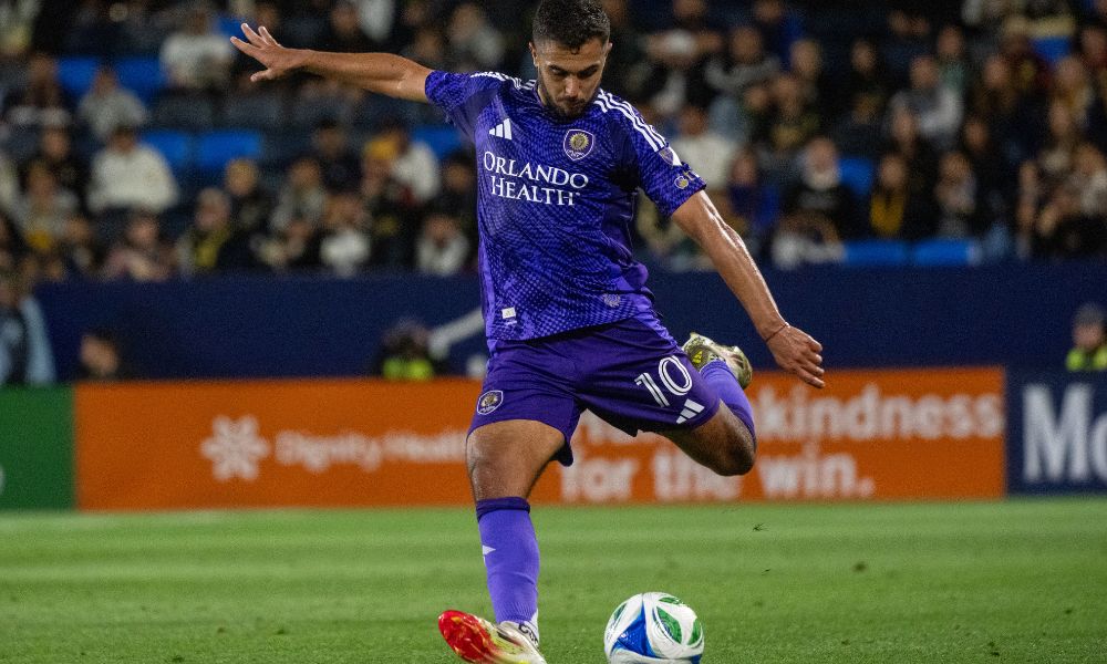 並非毫無根 並非毫無根