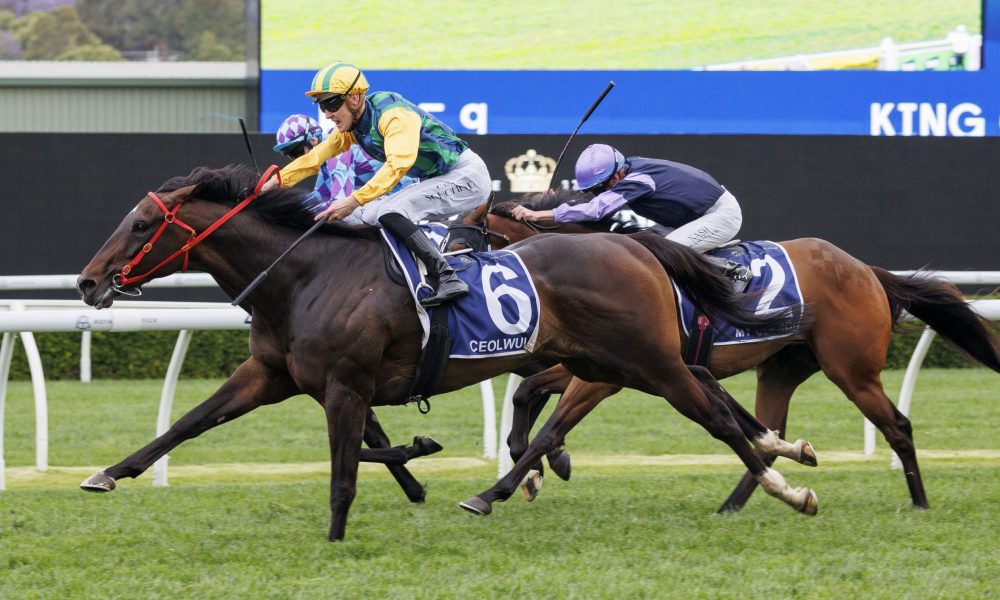 场上一鸣惊 场上一鸣惊